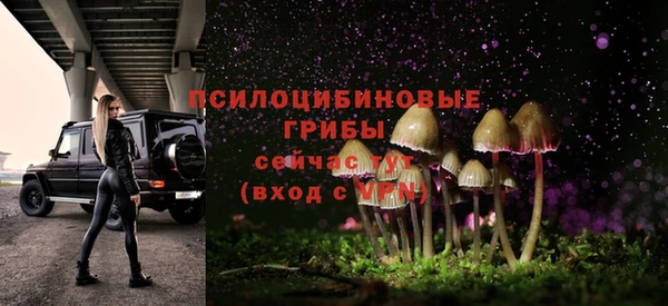 mdpv Балахна